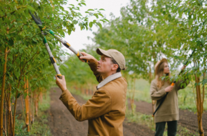 gardeners