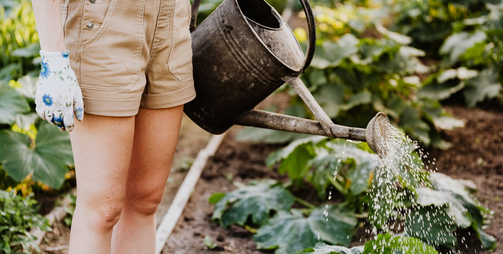 Easy Ways to Become a Professional Gardener